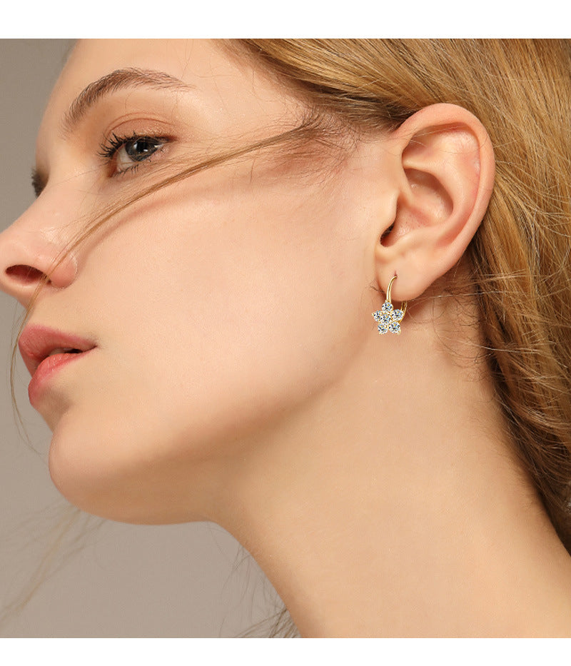 Sparkling Snow Leverback Silver Earrings