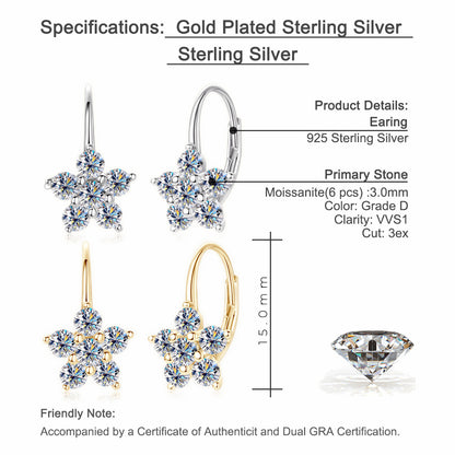Sparkling Snow Leverback Silver Earrings